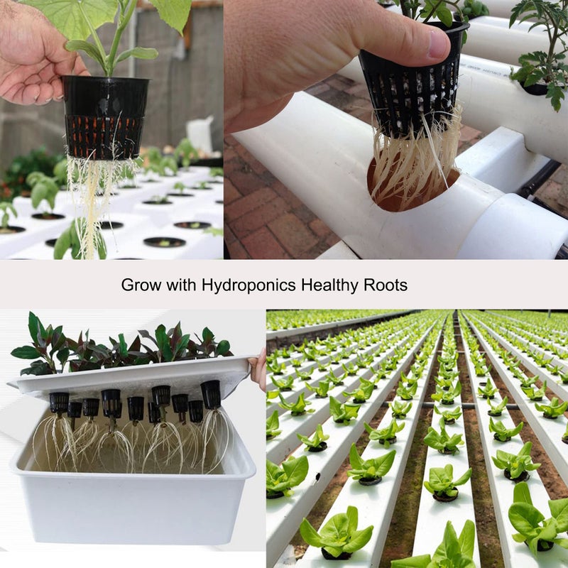 ORIMERC 30 Pack 3 inch Net Cup Pots with 30 feet Hydroponic Self Watering Wick & 30 Plant Labels Aquaponics Mason Jar Bucket Insert Orchid kratky Vegetable Gardening Growing Netted Basket Slotted Mesh - Image 4